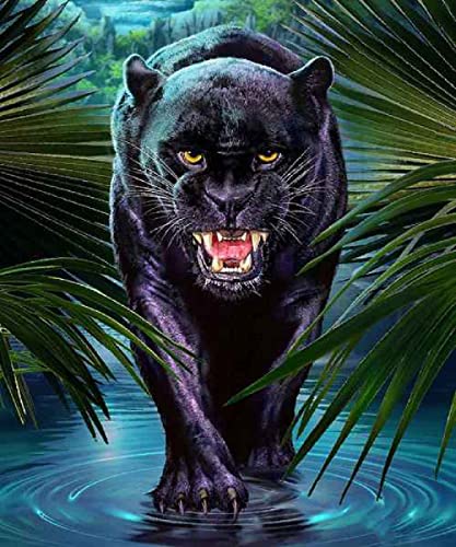 Puzzle 1000 Teile Unmöglicher Panther Entspannendes Puzzlespiel Denksportaufgabe/Panther/1000 Teile 50x70CM von TNTEVX