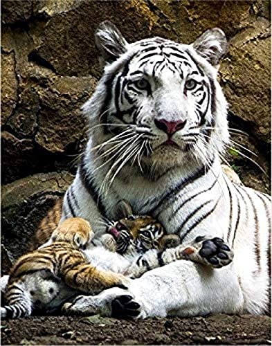 Puzzle 1000 Teile Weißer Tiger Baby Tiger Cub Freizeitunterhaltung für Erwachsene Lernspielzeug für Kinder, für Freunde/Laei001/52 * 38Cm 50x70CM von TNTEVX