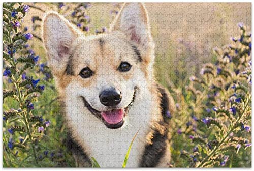 Puzzle 1000 Teile für Erwachsene und Kinder, süßer walisischer Corgi-Hund, Lernspiele, Heimdekoration, 50 x 70 cm von TNTEVX