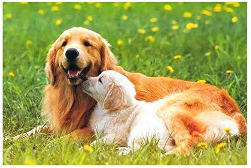 Puzzle 1000 Teile für Erwachsene und Kinder Iusun Hund Golden Retriever Landschaft Puzzles Unterhaltung DIY Spielzeug 50x70CM von TNTEVX