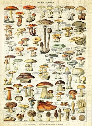 Puzzle 2000 Teile Retro Pflanzen Pilze Kunst Poster Dekompressionsspiel Für Erwachsenenspielzeug Qz576Yk 70x100CM Puzzle 2000 Teile Retro Pflanzen Pilze Kunst Poster Dekompressionsspiel Für Erwachsenenspielzeug Qz576Yk 70x100CM von TNTEVX