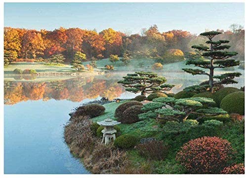 Puzzle für Erwachsene 1000 Teile Puzzle Puzzle für Erwachsene und Kinder Puzzle Lernspielzeug Botanischer Garten Herbstdekoration 26x38CM von TNTEVX