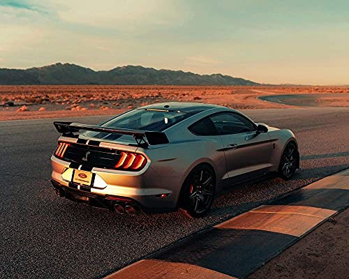 Puzzle für Erwachsene 2000 Teile Mustang Shelby GT Puzzles für Kinder Lernspielzeug Denkspiel Geschenk 70x100CM von TNTEVX