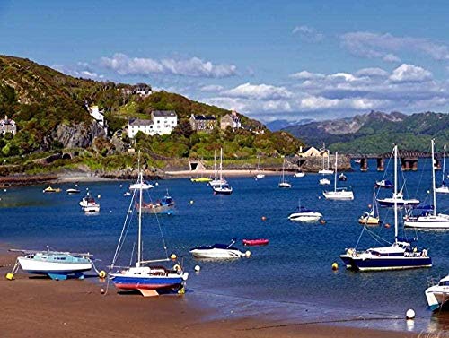 Puzzles Jigsaw Puzzle 1000 Pieces - Barmouth Wales Picture, Wooden Adult Children Kids Landscape Jigsaws, for Home Decor Puzzles Jigsaws38*26cm von TNTEVX