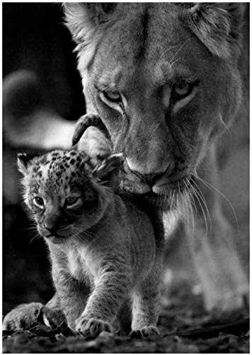 Puzzles Puzzles für Erwachsene 1000 Teile Tierpuzzle Löwin und Jungtier Holzpuzzle Sehr anspruchsvolles Freizeitpuzzle 50X75Cm 50x70CM Puzzles Puzzles für Erwachsene 1000 Teile Tierpuzzle Löwin und Jungtier Holzpuzzle Sehr anspruchsvolles Freizeitpuzzle 50X75Cm 50x70CM von TNTEVX