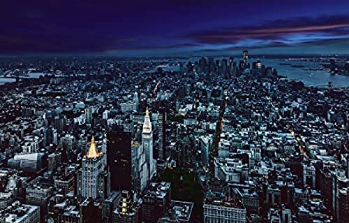 Riesenpuzzle 3D Puzzle 1000 Teile Stadt Nacht Manhattanline New York Architektur Gotham Landschaft 50x70CM von TNTEVX