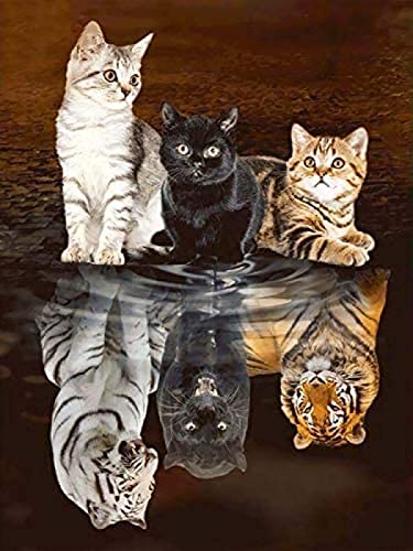 Three Cat Tiger Reflections - 1000-teiliges Papierpuzzle für Erwachsene und Kinder, klassisches Spiel, Geschenk/Laei, 26 x 38 cm von TNTEVX