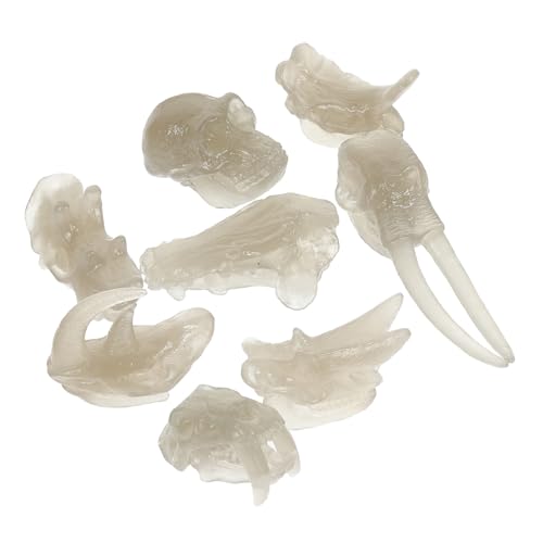 TOBBOMEY 1 Satz Dinosaurier-knochendekor Modelle Von Dinosaurierschädeln Nachtleuchtender Dinosaurierknochen Fossiles Spielzeug Für Kinder Dinosaurier-schädel 3D-Dinosaurier Fossilien PVC von TOBBOMEY