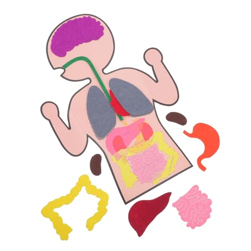 TOBBOMEY 3 Sätze Teiliges Menschlicher Organe Lernspielzeug Pädagogisches Bastelset für Kognitives DIY Modell aus Umweltfreundlichem Material Kreativität und Eltern Junge TOBBOMEY 3 Sätze Teiliges Menschlicher Organe Lernspielzeug Pädagogisches Bastelset für Kognitives DIY Modell aus Umweltfreundlichem Material Kreativität und Eltern Junge von TOBBOMEY