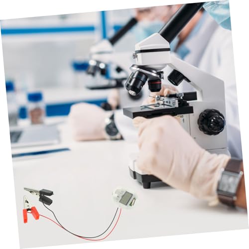 TOBBOMEY DIY Fruchtbatterie Experimentierset für Schüler mit Kartoffeluhr Stromerzeugendes Wissenschaftsspielzeug Kreatives Lernset für Elektronik und Naturwissenschaftliche Experimente TOBBOMEY DIY Fruchtbatterie Experimentierset für Schüler mit Kartoffeluhr Stromerzeugendes Wissenschaftsspielzeug Kreatives Lernset für Elektronik und Naturwissenschaftliche Experimente von TOBBOMEY