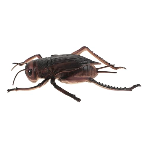 TOBBOMEY Insektenmodell Cricket-Figuren Cricket-Statue Cricket-schmuck Handwerkliche Statuen Exquisite Cricket-Dekorationen Großes Cricket-dekor Cricket-Modell-Ornament Dark Brown PVC von TOBBOMEY