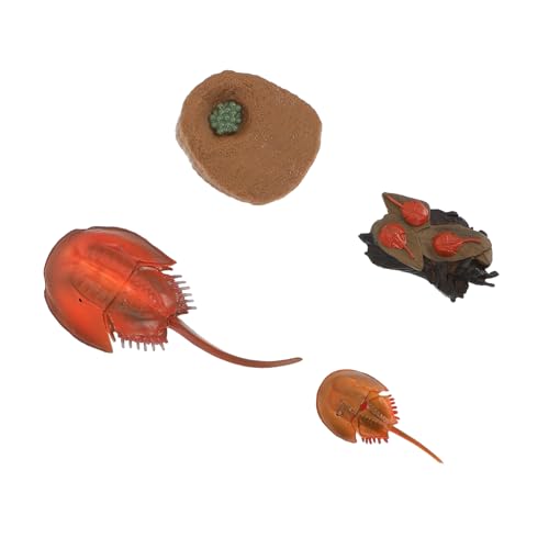 TOBBOMEY Lebensechte Meeresbewohner Realistische Tierfiguren für Pädagogisch Umweltfreundlich als Dekoration und Lernspielzeug Ocean Animal Simulation für Zuhause und Büro TOBBOMEY Lebensechte Meeresbewohner Realistische Tierfiguren für Pädagogisch Umweltfreundlich als Dekoration und Lernspielzeug Ocean Animal Simulation für Zuhause und Büro von TOBBOMEY