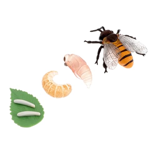 TOBBOMEY Lernspielzeug Bienenzyklus Modell Pädagogisches Biologie Lernset Langlebiges Kunststoff Material Leicht Tragbar Anschauliche Lebenszyklus Simulation für Natur und Insektenfans TOBBOMEY Lernspielzeug Bienenzyklus Modell Pädagogisches Biologie Lernset Langlebiges Kunststoff Material Leicht Tragbar Anschauliche Lebenszyklus Simulation für Natur und Insektenfans von TOBBOMEY