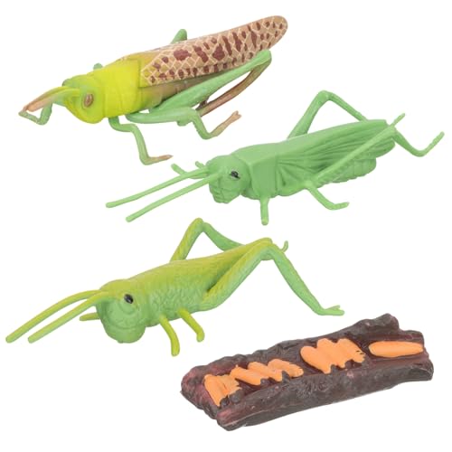 TOBBOMEY Lernspielzeug Tierzyklus Modelle Realistische Insekten Wachstumszyklus Figuren Montessori Frühe Bildung Geburtstagsgeschenk für Jungen und Mädchen TOBBOMEY Lernspielzeug Tierzyklus Modelle Realistische Insekten Wachstumszyklus Figuren Montessori Frühe Bildung Geburtstagsgeschenk für Jungen und Mädchen von TOBBOMEY