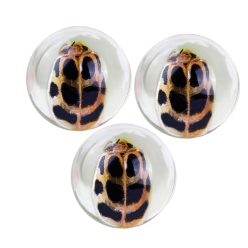 TOPBATHY 3 STÜCKE Teiliges Bernstein insekten Resin für Beobachtung und Unterricht Naturgetreue Fossilienproben Langlebig und Attraktiv Lehrmittel und Sammlerstück TOPBATHY 3 STÜCKE Teiliges Bernstein insekten Resin für Beobachtung und Unterricht Naturgetreue Fossilienproben Langlebig und Attraktiv Lehrmittel und Sammlerstück von TOPBATHY