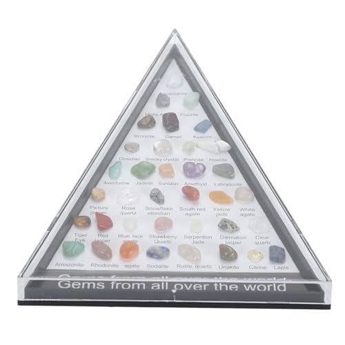 Mineral Rock Collection Kit, Clear Dirdit Case, Fun Science Educational Kit mit Rock Science Educational Kit (A) von TOPINCN