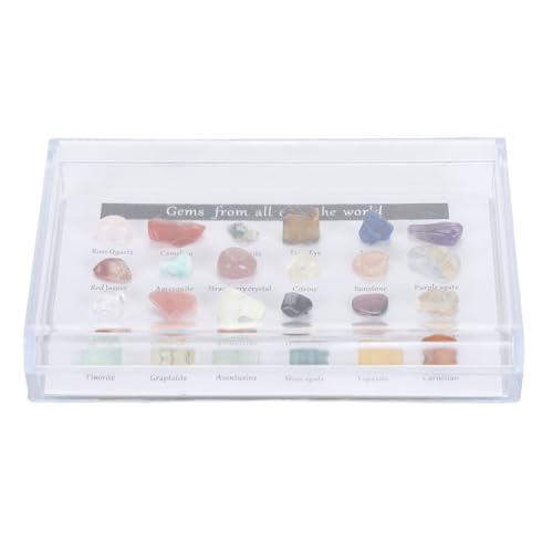 Mineral Rock Collection Kit, Clear Dirdit Case, Fun Science Educational Kit mit Rock Science Educational Kit (B) von TOPINCN