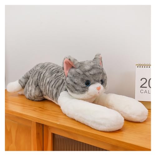 TOPLITHE Niedliche Plüsch Katze, 70Cm Langes Arm Kätzchen Gefüllte Plüschpuppe Weiches Kuschelkissen Geschenk for Kinder Erwachsene Geburtstag Weihnachten(Gray) von TOPLITHE