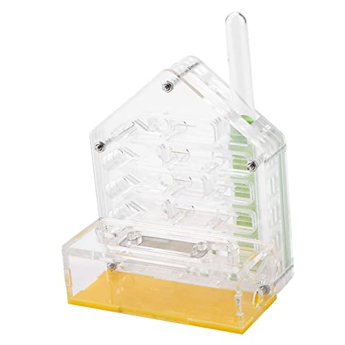 TOUISEDGI Acrylic Ant Nest Villa Farm House Formicarium Ant Nest Villa Ant Nest for Educational Toy Yellow 12 * 10 * 6.5 cm ant Farmer von TOUISEDGI