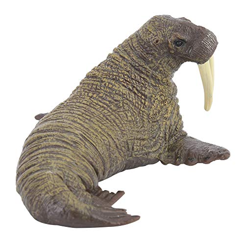 TOUISEDGI Miniature Plastic Walrus Elephant Seal Figurine Toy Educational Model Kids Home Decor Crafts von TOUISEDGI