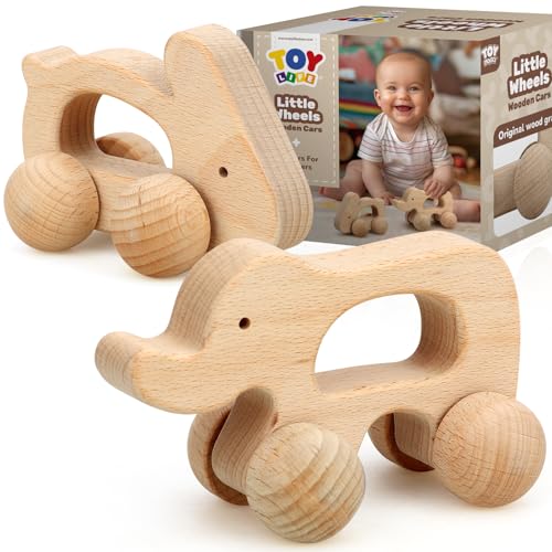 TOY Life Holzspielzeug Autos, Montessori Spielzeug für Babys 0-6-12 Monate, Baby Tier Spielzeug Autos für Kleinkinder 1-3, Holz Baby Spielzeug für 1 + Jahr, Baby Kinderzimmer Dekor Baby Push Cars von TOY Life