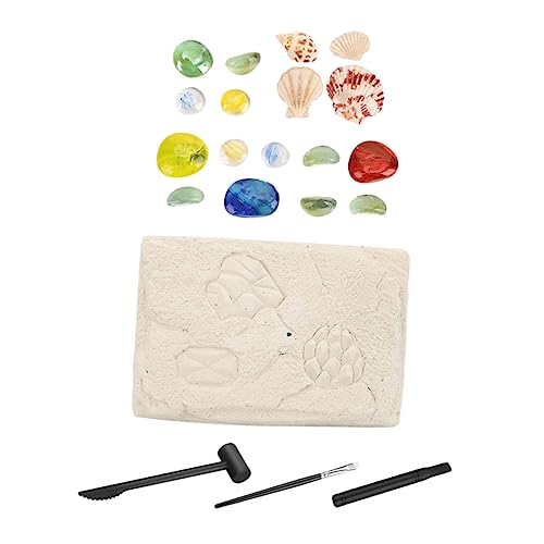 TOYANDONA 1 Satz Archäologisches fossiles Activity für adventsgeschichten sammlerstücke dekoringe ziernieten praktisches Nachahmung von Mineralstein Gips von TOYANDONA