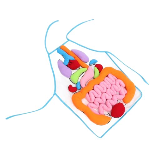 TOYANDONA 1 Satz Orgelschürze Körperorgane Schürze Puzzles für Kinder schürze für Kinder sportgel The pe die pe 3D Organe Schürze des menschlichen Körpers Kinder kognitives Spielzeug Plüsch von TOYANDONA