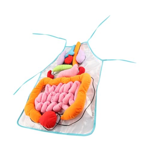 TOYANDONA 1 Satz menschliche Eingeweide Schürze körper pädagogisches Körperschürze Körper Anatomie Lätzchen 3D menschliche Organe Schürze 3D-Körperorgane Schürze Plastik von TOYANDONA