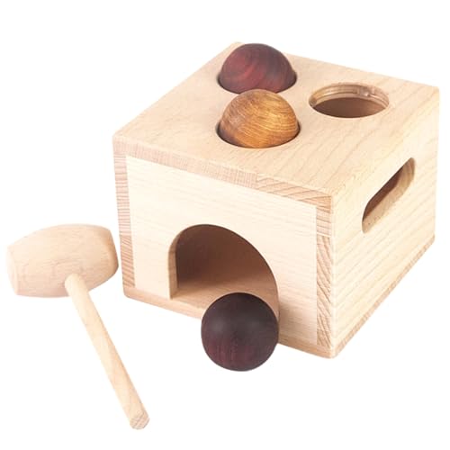 TOYANDONA 1 Set Box Für Babys Kinderspielzeug Klopfbälle Lernspielzeug Früherziehungsspielzeug Ballwurfspielzeug Für Kleinkinder 1 3 Holz von TOYANDONA