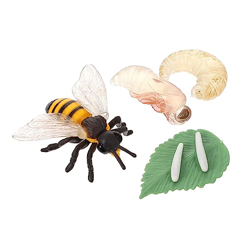 TOYANDONA 1 Set Kognitives Modell des Lebens Lebenszyklus Lebenszyklus Spielzeug Insektenspielzeug Modellfiguren Lebenszyklus Wachstumszyklus Spielzeug Mini Bienen Mini Tiere von TOYANDONA