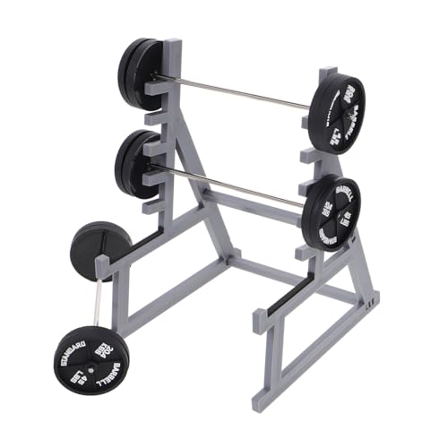 TOYANDONA 1 Set Miniatur Puppenhaus Squat Rack Stifthalter Mit Langhantel Einzigartiger Stifthalter Puppenhaus Fitnessmöbel Für Gewichtheben Fitnessbegeisterte Fans Freunde Studenten von TOYANDONA