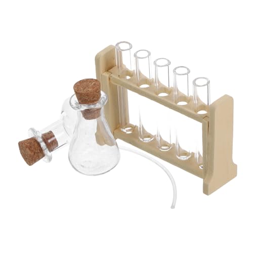 TOYANDONA 1 Set Simulationsexperiment Reagenzglasständer Wissenschaft Reagenzgläser DIY Miniatur Puppenhaus Kit Ausbreitungsstation Jumbo Reagenzgläser Mini Basketballkorb Kleines von TOYANDONA