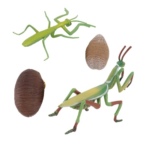 TOYANDONA 1 Set Wachstumszyklus Mantis Modell Figur Simuliertes Tiermodell Tiere Figur Mantis Modell Tierfigur Lernspielzeug Kinderspielzeug PVC von TOYANDONA