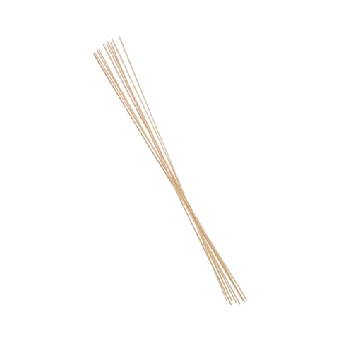 TOYANDONA 10 Stück Teiliges Bambusstäbe Unbehandelte Bambus Dübelstäbe für DIY Kinderdrachen Leichte Stützstäbe für Stabile Drachenkonstruktion und Kreative Bastelprojekte TOYANDONA 10 Stück Teiliges Bambusstäbe Unbehandelte Bambus Dübelstäbe für DIY Kinderdrachen Leichte Stützstäbe für Stabile Drachenkonstruktion und Kreative Bastelprojekte von TOYANDONA