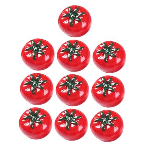 TOYANDONA 10st Nachahmung Tomate Tomaten Imitation Einer Minitomate Miniaturtomate Mini Künstliche Früchte Fruchtmodell Prop Mini-Tomate Miniatur-obstdekorationen Foto-Requisite Rot Harz von TOYANDONA