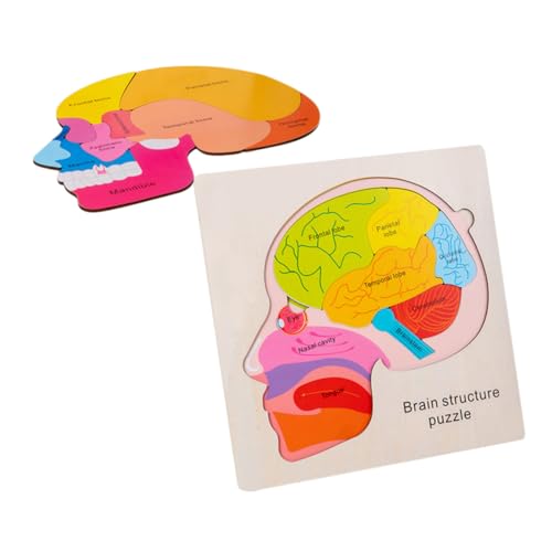 TOYANDONA 1Satz Gehirnstruktur Puzzle aus Holz Interaktives Kognitionsspielzeug für Frühe Bildung Sicheres Form Matching für Jungen und Mädchen für Kreative Lernspiele TOYANDONA 1Satz Gehirnstruktur Puzzle aus Holz Interaktives Kognitionsspielzeug für Frühe Bildung Sicheres Form Matching für Jungen und Mädchen für Kreative Lernspiele von TOYANDONA