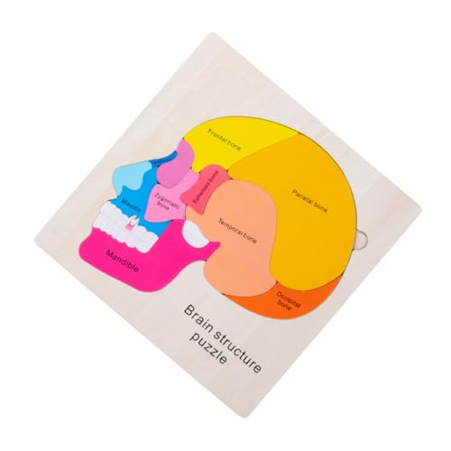TOYANDONA Brain Structure Puzzle Spielzeug Holzpuzzle Zur Frühen Bildung Fördert Logisches Hand-Augen-koordination Und Kreativität Für Junge Mädchen Für Montessori Lernen TOYANDONA Brain Structure Puzzle Spielzeug Holzpuzzle Zur Frühen Bildung Fördert Logisches Hand-Augen-koordination Und Kreativität Für Junge Mädchen Für Montessori Lernen von TOYANDONA