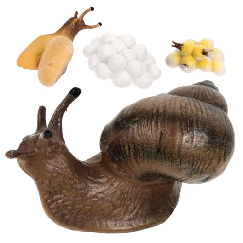 TOYANDONA 1Satz Teiliges Schneckenwachstumszyklus Modell für Realistisches zur Simulation des Lebenszyklus von Schnecken für Naturwissenschaftliche Bildung und Kreative Lernspiele TOYANDONA 1Satz Teiliges Schneckenwachstumszyklus Modell für Realistisches zur Simulation des Lebenszyklus von Schnecken für Naturwissenschaftliche Bildung und Kreative Lernspiele von TOYANDONA