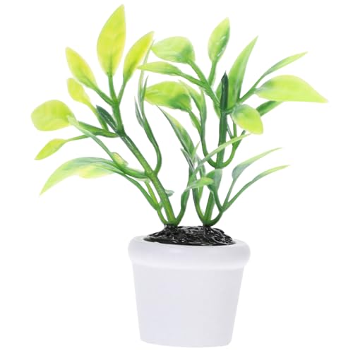 TOYANDONA 1Stk Mini-Topfpflanzen Little Plants microanlagen Micro Plants dekosand grün puppenhauszubehör Mini- -Miniatur-Topfpflanzen Mini-Hausbedarf Mini-Haustopfpflanzen von TOYANDONA