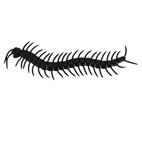 TOYANDONA 24Stücke Teiliges Halloween Prank mit Realistischen Insekten Requisiten Deko für Schaurige Partys und Spukhäuser aus Robustem Material Gefertigt für Dauerhaften Einsatz TOYANDONA 24Stücke Teiliges Halloween Prank mit Realistischen Insekten Requisiten Deko für Schaurige Partys und Spukhäuser aus Robustem Material Gefertigt für Dauerhaften Einsatz von TOYANDONA