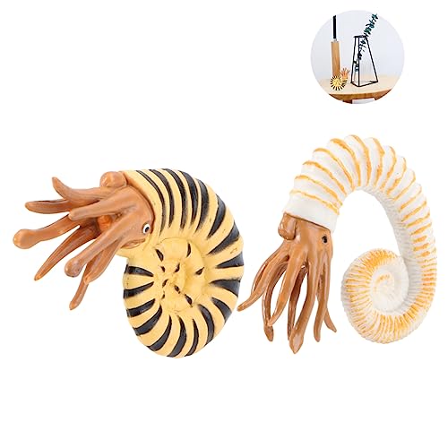 TOYANDONA 2St Simuliertes Muschelmodell für Meerestiere kognitives Spielzeug Badewanne Spielzeug Desktop-Spielzeug kinderzimmerdeko Room Decoration Tierschmuck Modell Einer Tierfigur von TOYANDONA