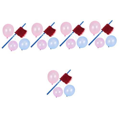 TOYANDONA 5 Sätze Experimentierset Für Statische Elektrizität Spielzeug Werkzeuge Für Physikalische Experimente Professionelle Physikexperimente Experimentierwerkzeuge von TOYANDONA