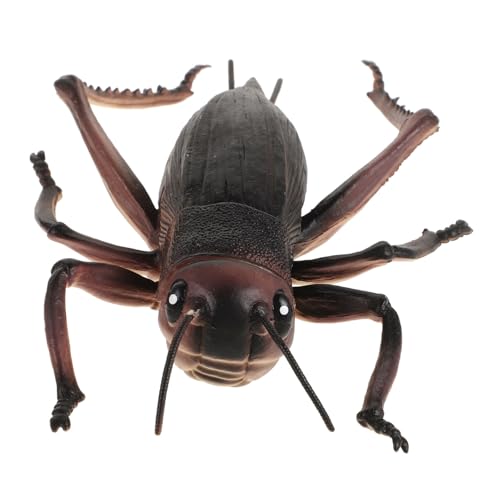 TOYANDONA Insektenmodell Große Plastikdekoration Desktop- Großes Cricket- Simuliertes Cricket Plastikverzierung Handwerkliche Statuen Cricket-Statue Cricket-Figuren PVC Dark Brown von TOYANDONA