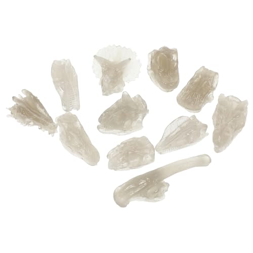 TOYANDONA Luminöses Dinosaurier PVC Modell Lernspielzeug Kreatives Nachtlicht für Jungen Mädchen Dinosaurier Knochen Fossil Dekoration Geschenk TOYANDONA Luminöses Dinosaurier PVC Modell Lernspielzeug Kreatives Nachtlicht für Jungen Mädchen Dinosaurier Knochen Fossil Dekoration Geschenk von TOYANDONA