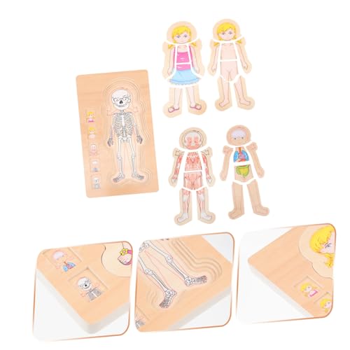 TOYANDONA Multilagiges Holzpuzzle Menschlicher Körper Lernspielzeug für Pädagogisches Steckspiel Körperstrukturkenntnis für Mädchen und Jungen Ab Jahren TOYANDONA Multilagiges Holzpuzzle Menschlicher Körper Lernspielzeug für Pädagogisches Steckspiel Körperstrukturkenntnis für Mädchen und Jungen Ab Jahren von TOYANDONA