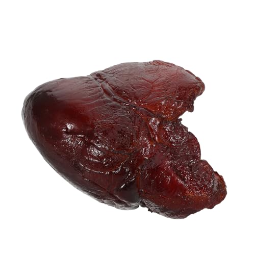 TOYANDONA Realistisches Schweineherz Modell Detailgetreuer Fake Food Prop Vielseitig für Restaurantdekoration Küchendisplay und Kreative Food Fotografie Kunstvoll Gestaltetes Kunstfleisch TOYANDONA Realistisches Schweineherz Modell Detailgetreuer Fake Food Prop Vielseitig für Restaurantdekoration Küchendisplay und Kreative Food Fotografie Kunstvoll Gestaltetes Kunstfleisch von TOYANDONA