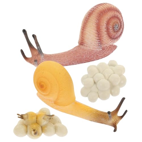 TOYANDONA Simuliertes Schneckenwachstumszyklus Modell Edukatives Lernspielzeug aus Sicherem Kunststoff Realistische Schneckenfiguren für Anschauliche Biologie Unterrichtsrequisiten TOYANDONA Simuliertes Schneckenwachstumszyklus Modell Edukatives Lernspielzeug aus Sicherem Kunststoff Realistische Schneckenfiguren für Anschauliche Biologie Unterrichtsrequisiten von TOYANDONA