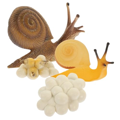 TOYANDONA Snail Growth Cycle Lernspielzeug aus Sicherem Kunststoff Realistische Schneckenmodelle für Pädagogisches Wachstumszyklus Spielset Vielseitig als Lernhilfe und Dekoration Geeignet TOYANDONA Snail Growth Cycle Lernspielzeug aus Sicherem Kunststoff Realistische Schneckenmodelle für Pädagogisches Wachstumszyklus Spielset Vielseitig als Lernhilfe und Dekoration Geeignet von TOYANDONA