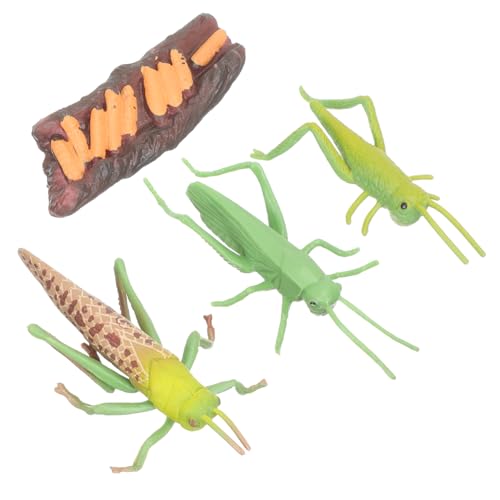 TOYANDONA Tierische Lernspielzeug Lebenszyklus Modelle für Realistische Insekten Figuren Pädagogisches Montessori Tierwachstum Lernspielzeug für Frühe Bildung und Rollenspiele TOYANDONA Tierische Lernspielzeug Lebenszyklus Modelle für Realistische Insekten Figuren Pädagogisches Montessori Tierwachstum Lernspielzeug für Frühe Bildung und Rollenspiele von TOYANDONA