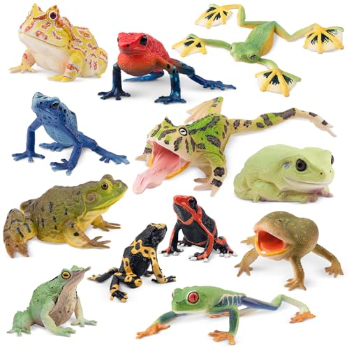 TOYMANY 12 Stück Frosch Tiere-Figuren Frösche Spielzeug Set Kunststoff Regenwald Figuren, Kuchen Topper Party Gunst Garten Blumentopf Pflanzen Dekor Halloween Dekoration Ornamente von TOYMANY